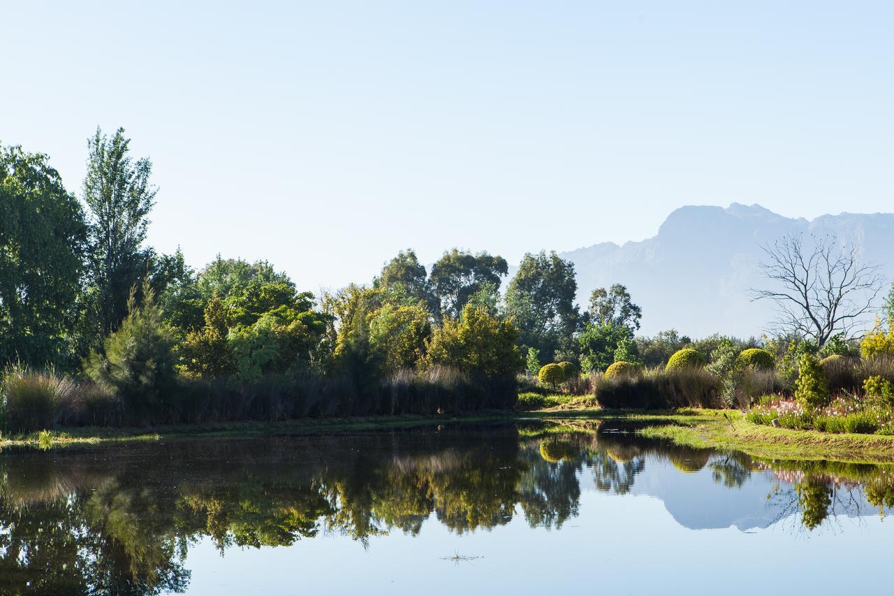 La Bella Vita Studios Paarl Bagian luar foto